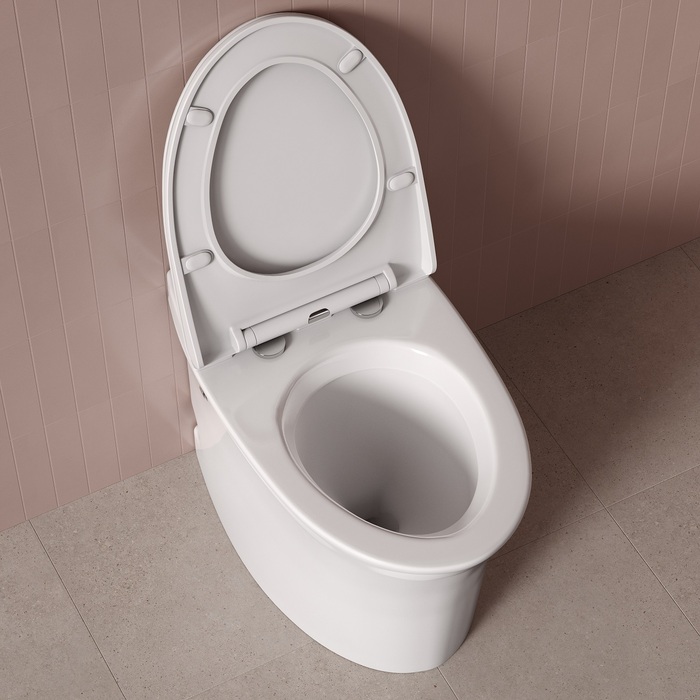 Инновационный унитаз Pulse