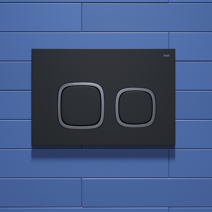 Клавиша смыва