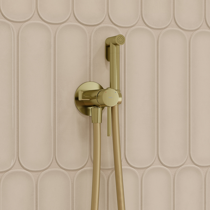 Смеситель скрытого монтажа с гигиеническим душем